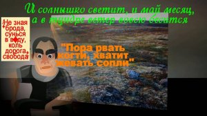 По тундре по железной дороге. ВОХРа, нас не трогай