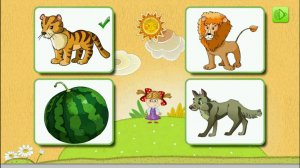 Загадки в картинках по признакам предмета для детей