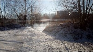Зимний шторм