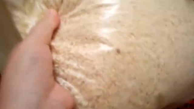 Обзор на клетку Сёбы и Семечки (ч.о) смотреть онлайн