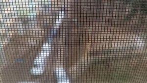 Андреевка ⏺️