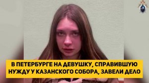 В Петербурге на девушку, справившую нужду у Казанского собора, завели дело