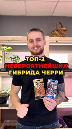 Какие томаты черри посадить в этом сезоне?