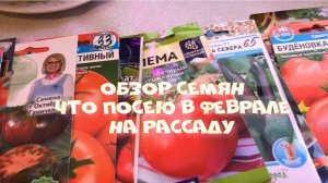 Обзор семян. Планы на февраль Что посею на рассаду в феврале месяце.