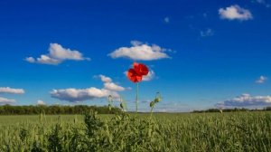 🎼. Группа Сентябрь - Когда стучится счастье