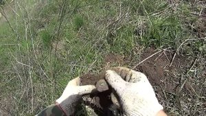 ЧТО МОЖНО НАЙТИ С МЕТАЛЛОИСКАТЕЛЕМ НА СТАРОМ ПЛЯЖЕ!