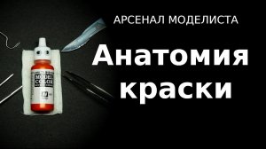 Анатомия краски