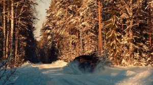 Ралли Баха «Северный лес"