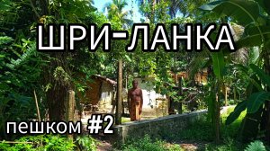 2. ШРИ-ЛАНКА. Набор бесплатных экскурсий - корица, чай, животные. Пешком с палаткой.