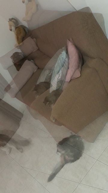 Скраффи покидает ринг..