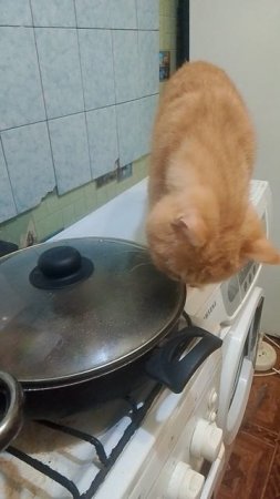 что там вкусного ?/А мне не дают 🙂↕️
