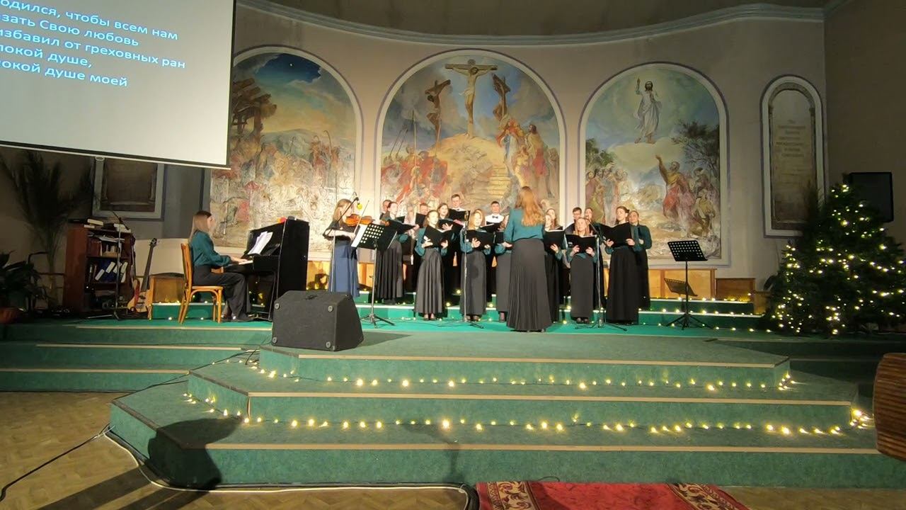 В хлеву родился