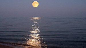 №50. Море (с Муслимом Магомаевым, муз. "Посмотри какая луна", плейлист "Мир входящему")