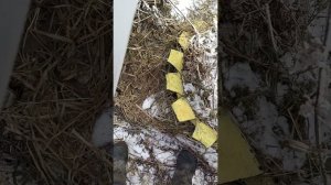 стекло пластиковая крышка багажника нива