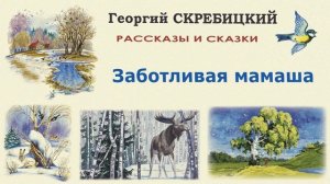 "Заботливая мамаша" (автор Георгий Скребицкий) - Слушать