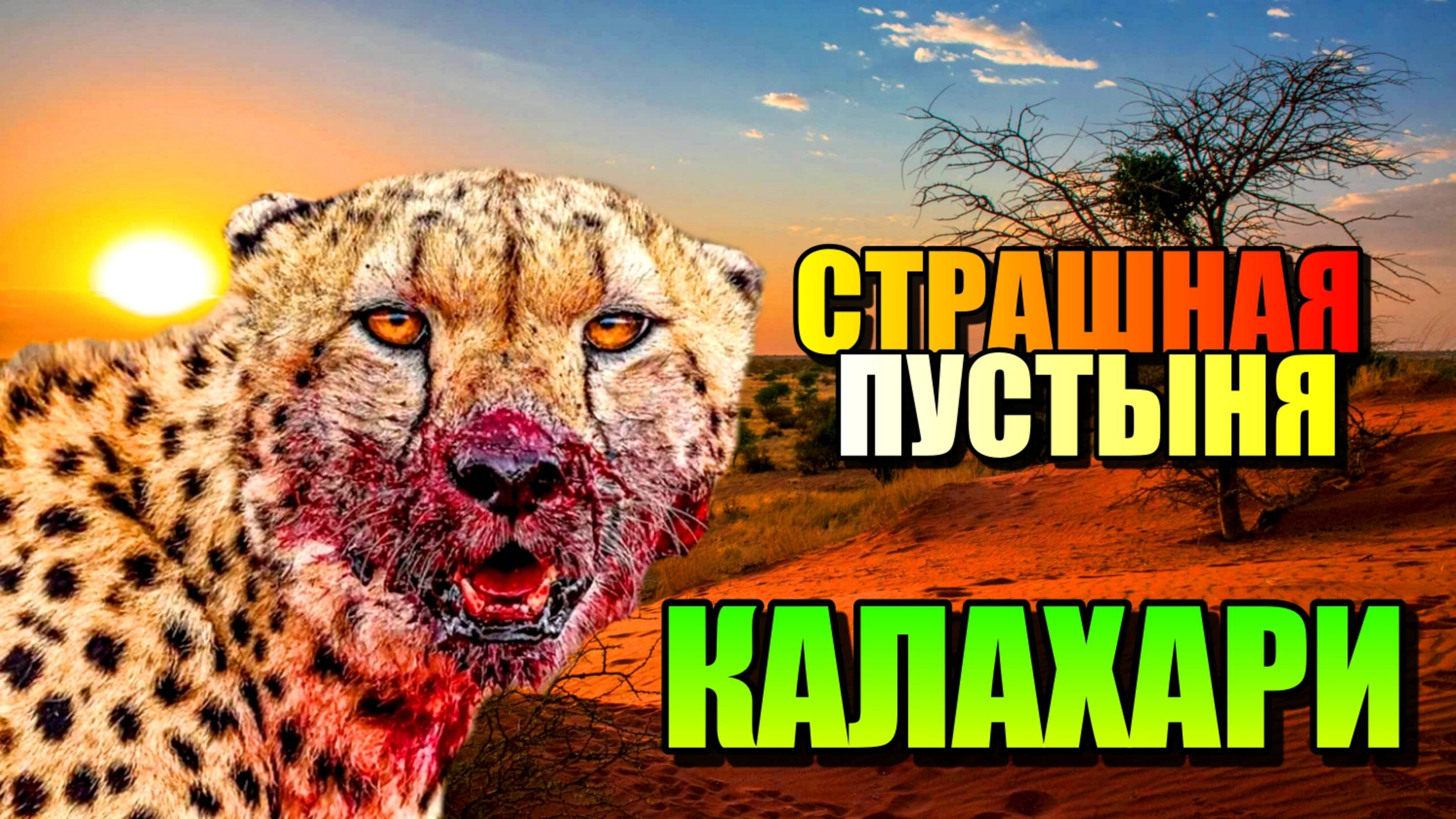 СТРАШНАЯ ПУСТЫНЯ КАЛАХАРИ!!! Гиблое Место Африки!!!