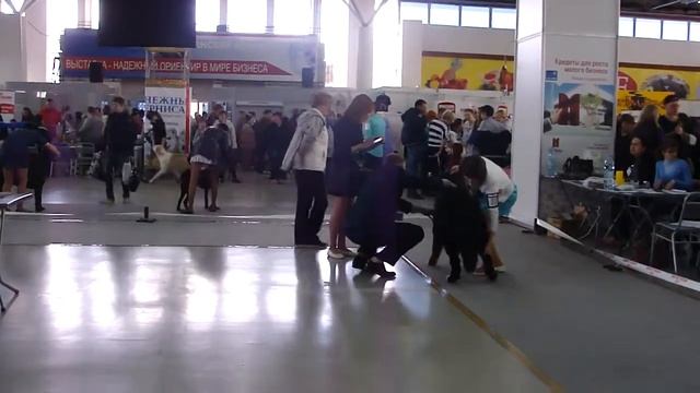 M4H01675 смотреть онлайн