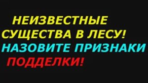Неизвестные существа в лесу! Назовите признаки подделки!