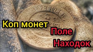 Поиск монет. Поле находок. Коп с металлоискателем. Нокта легенд