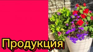 ДЕРЕВЕНСКИЙ ДНЕВНИК. Уработались.