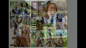 1  вариант 11 класс (2019)