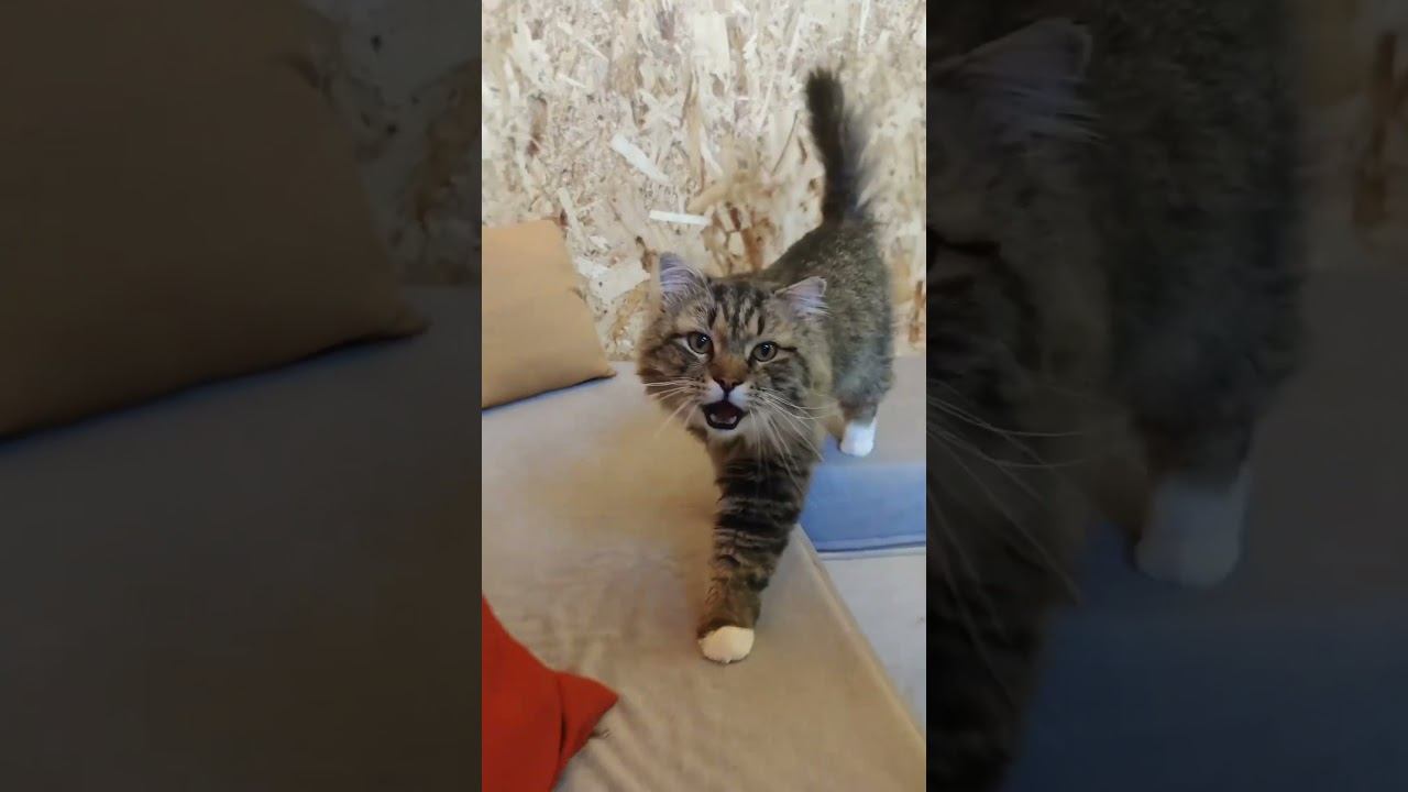 -Hey!