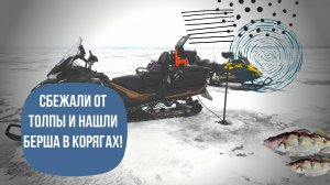 СБЕЖАЛИ ОТ ТОЛПЫ И НАШЛИ БЕРША В КОРЯГАХ!!! РЫБАЛКА ПО-НОВОМУ С PANOPTIX