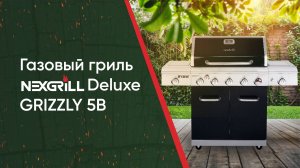 Газовый гриль GRIZZLY бренда NEXGRILL