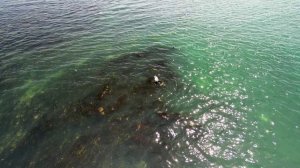 Клоковский водопад