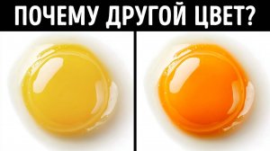 150+ удивительных фактов, которыми можно поделиться на следующей встрече