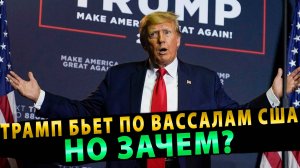 ЗАЧЕМ ТРАМП БЬЕТ В ПЕРВУЮ ОЧЕРЕДЬ ПО ВАССАЛАМ США?