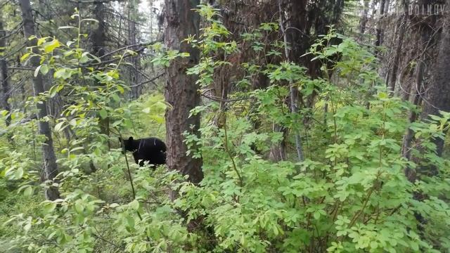 🤯 29 ВЕЩЕЙ с AliExpress, от которых ТЫ ВЫПАДЕШЬ В ОСАДОК! 🚀🔥 смотреть онлайн