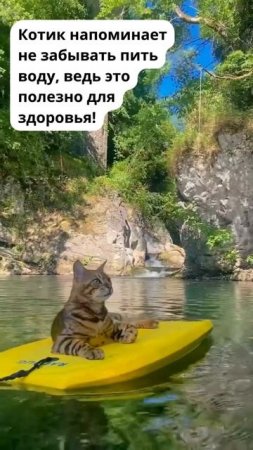 Не забывайте пить воду!