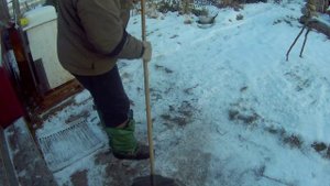 20 11 2017г укрываем  саженцы. Ждем морозы.