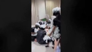 🤣🤣 Подборка лучших смешных видео — неудачи и веселые моменты 😂