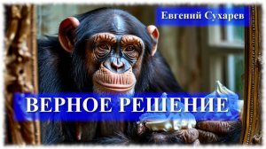 Евгений Сухарев — Верное решение