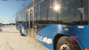 БРАТСК: видим, слышим, отвечаем