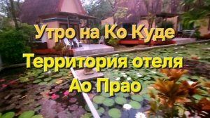 12 серия. Утро на Ко Куде. Прогулка по территории отеля Ao Phrao Beach resort