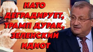 Яков Кедми разносит мировую политику. Ближний Восток, СВО, тупость Трампа, деградация НАТО