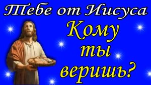 Кому ты веришь ?