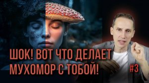 Что произойдет с вами после 1 ГОДА микродозинга мухомора?