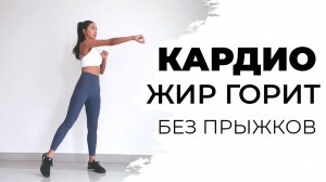 Кардио-тренировка для похудения всего тела стоя (без прыжков)