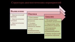 Емельянова Н.Ю. Диагностическо-профилактическая работа