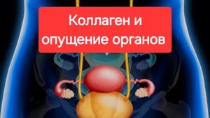 Опущение почек,опущение матки,опущение влагалища или других органов?Не знаете,что делать?89179318632