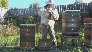 Усиление и объединение семей.Подготовка пчёл к зимовке.