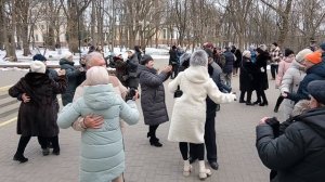 Падает снег........ 08.02.25 Гомель парк Луначарского 🥰💫