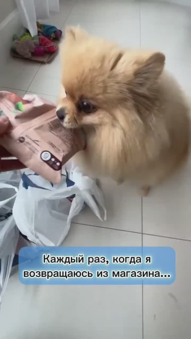 Каждый раз, когда я возвращаюсь из магазина…