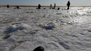 весенняя рыбалка на карася