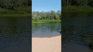 #история 1 дня