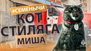 Котик пожарный - Мишка!